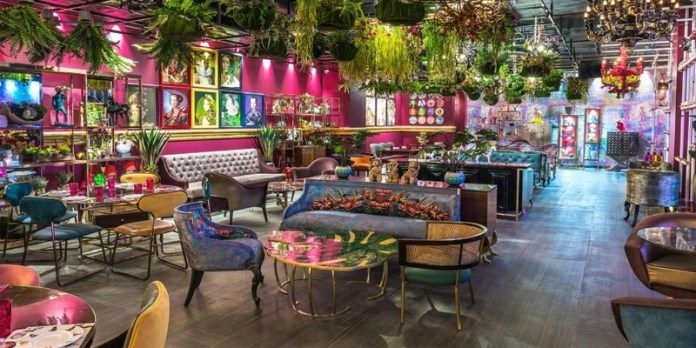 Webp.net-resizeimage (31)