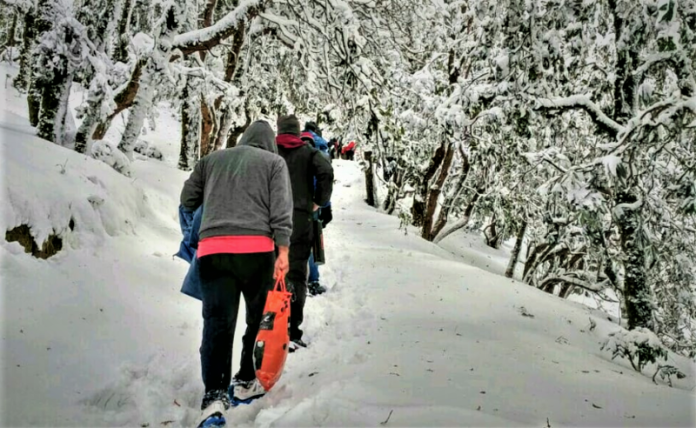 Webp.net-resizeimage