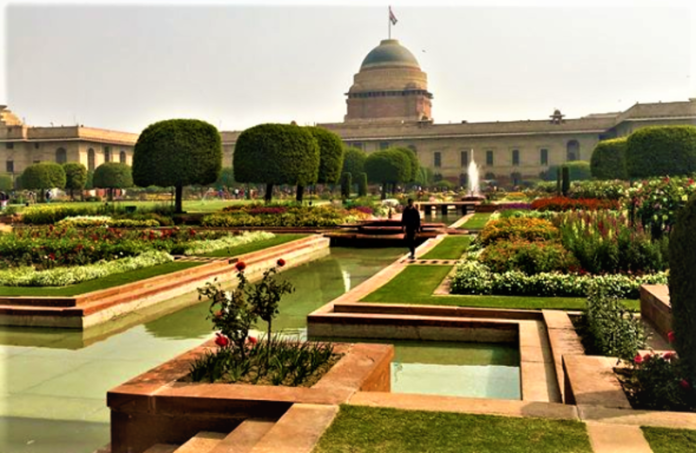 Webp.net-resizeimage